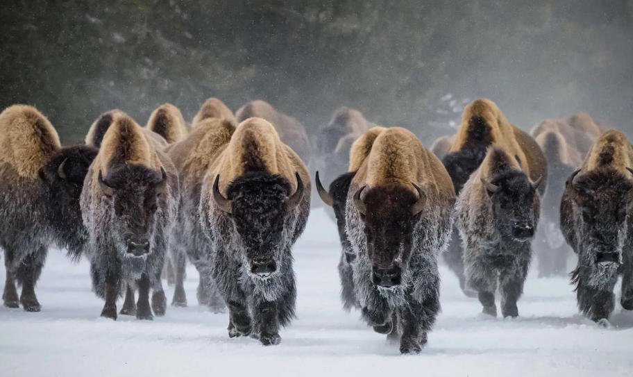 深圳零零柒壹壹安防科技公司轮播图3